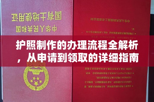 沧州护照制作的办理流程全解析，从申请到领取的详细指南