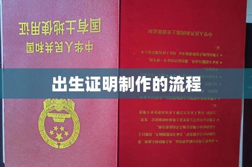 沧州出生证明制作的流程