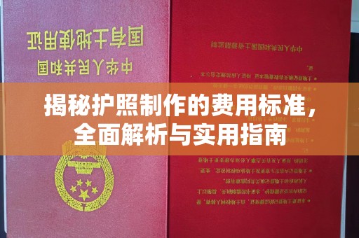 沧州揭秘护照制作的费用标准，全面解析与实用指南
